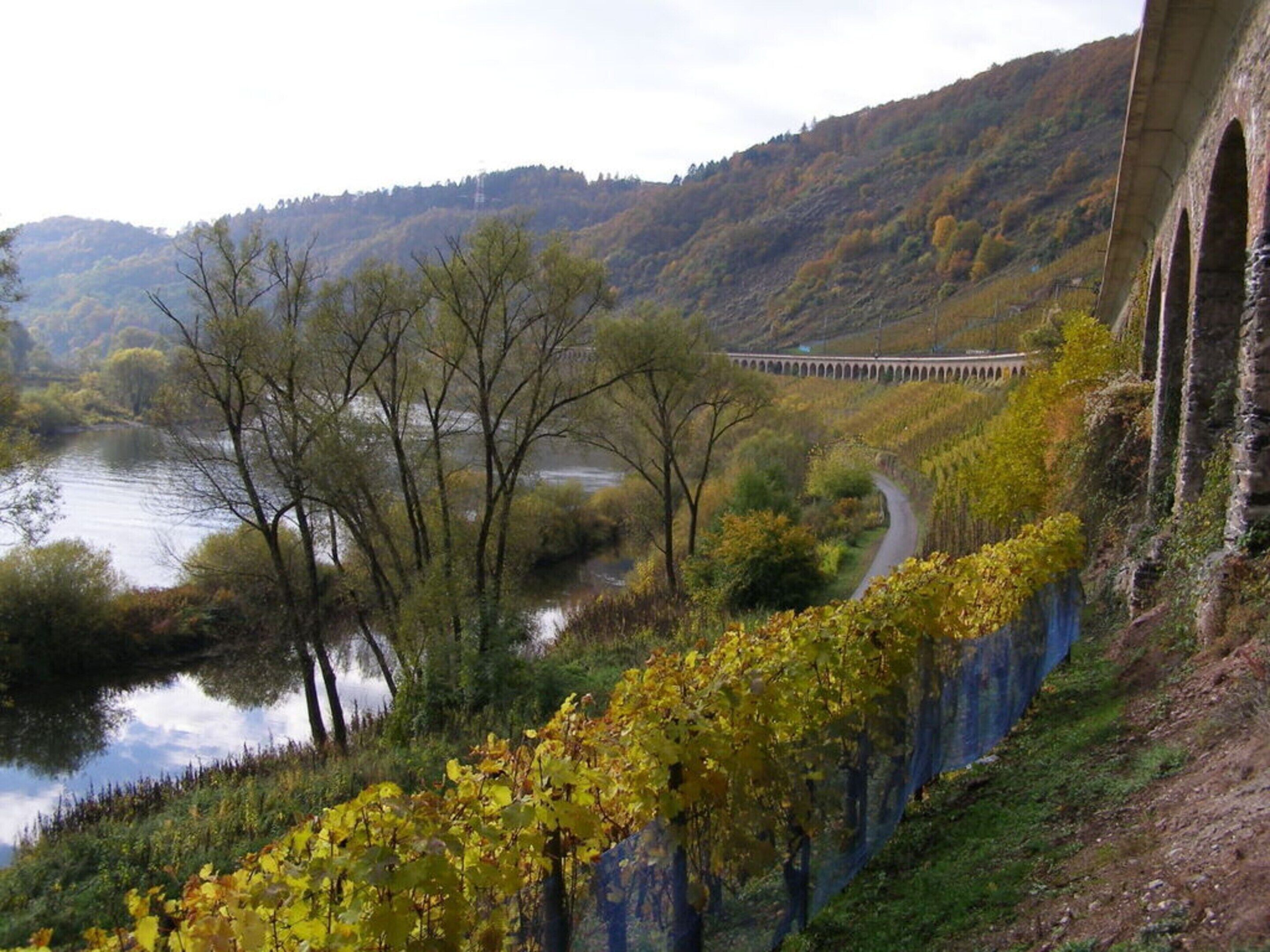 A bridge over a river with a road curving alongside.