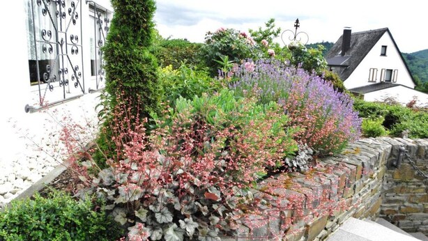 En stenvæg prydet med forskellige blomstrende planter og et højt træ.
