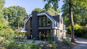 Una moderna casa a due piani con un'ampia porta in vetro, immersa nel verde e con un vialetto lastricato.