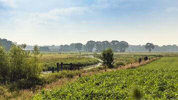A rural landscape with a river, fields, and trees.