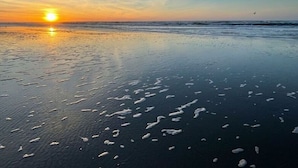 A beach at sunset with the sun low on the horizon, reflecting on the water. - Penthuus Modern Retreat (Juist)