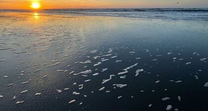 Penthuus Modern Retreat