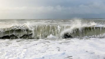 House | View from property