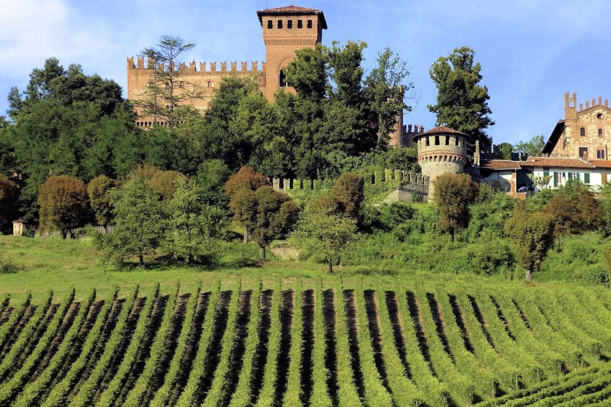 Un castillo con torre, rodeado de vegetación exuberante y viñedos.