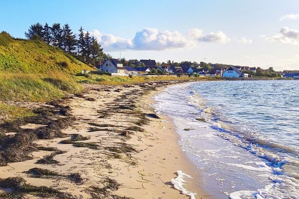 House | Beach