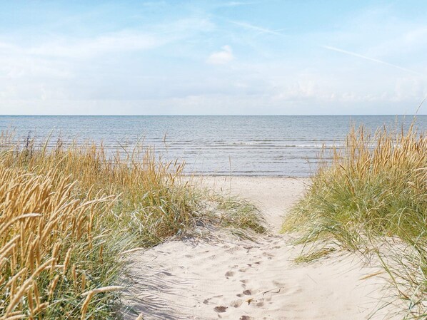 House | Beach - 5 Person Holiday Home in Falkenberg-by Traum (Falkenberg)