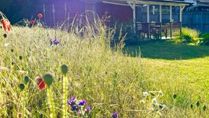 A rural property with a house, a fenced yard, and a field of wildflowers. - 4 Person Holiday Home in Ahus (Aahus)