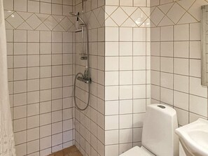 Shower area features a handheld showerhead and a handheld shower attachment, a toilet, and a paper towel dispenser.
