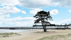 A beach with a single tree, a wooden pier extending into the water, and a clear sky. - 4 Person Holiday Home in Ahus (Aahus)