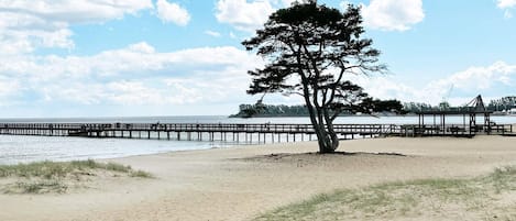A beach with a single tree, a wooden pier extending into the water, and a clear sky.