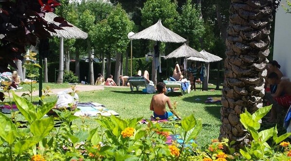 A garden with palm trees and thatched umbrellas, a pool area with lounge chairs, and people relaxing.