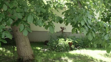 Ferienhaus | Außenbereich