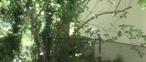 Casa | Áreas de la propiedad