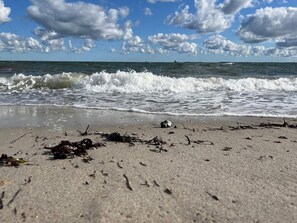 A beach with waves, seaweed, and a distant ship. - 5 Star Holiday Home in Otterup (Otterup)