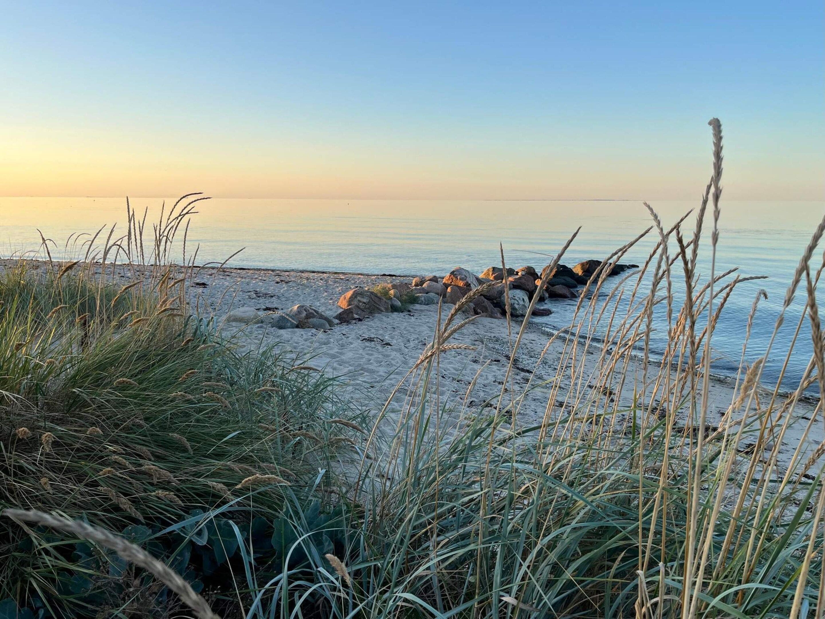 A beach with sand, rocks, and grasses.