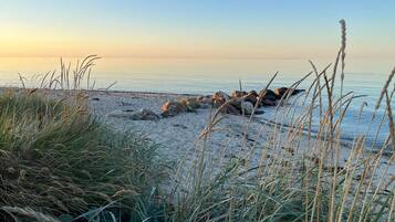 Une plage de sable, de rochers et d’herbes.