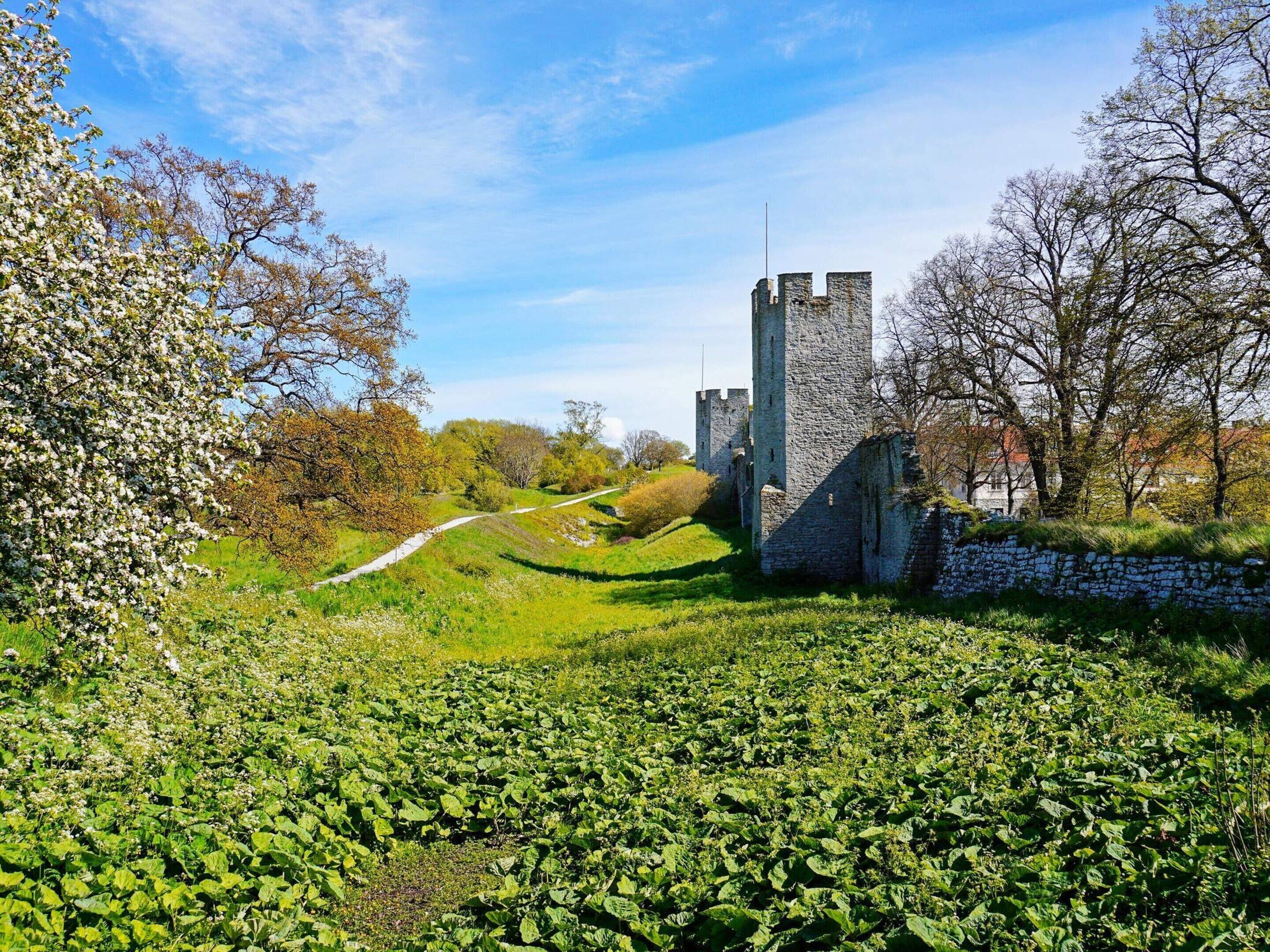 Un château doté d’un mur de pierre et d’un chemin menant à son entrée.