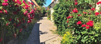 5 Person Holiday Home in Visby-by Traum