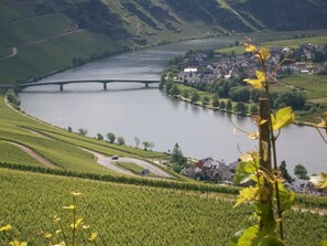A river with a bridge, surrounded by green fields and a small town.