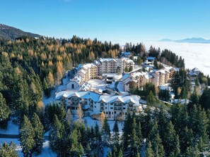 Outdoor pool - Holiday Apartment in Gerlitzen With Wellness Area (Treffen)