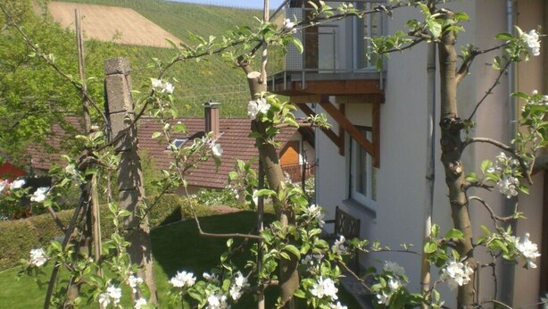 En bostadsbyggnad med en balkong, omgiven av blommande träd och en sluttning i bakgrunden.