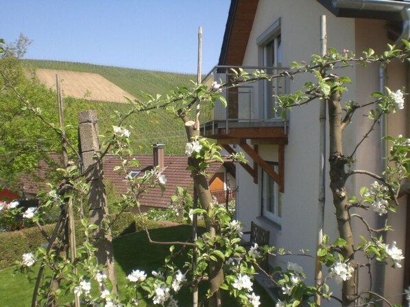 Exterior - Holiday Apartment Kastanienhalde (Baden-Baden)