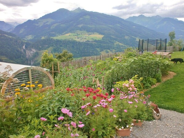 Apartment | Exterior - Cosy Holiday Flat in a Farmhouse (Taxenbach)