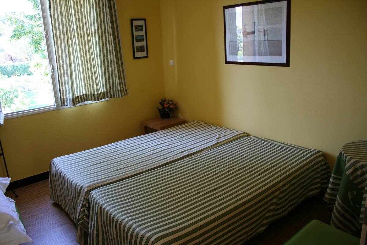 A room with two single beds, a small table with a vase, a window with curtains, and a framed picture on the wall.
