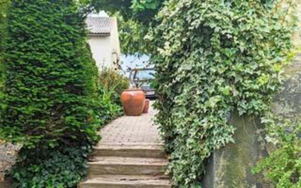 House | Property grounds