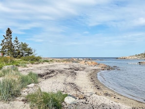 A beach with a rocky shoreline, clear sky, and sparse vegetation. - 4 Star Holiday Home in Grisslehamn (Grisslehamn)