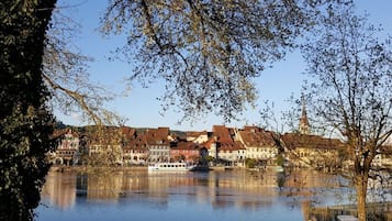 A riverside town with historic buildings, a boat docked on the water, and a tree in the foreground.