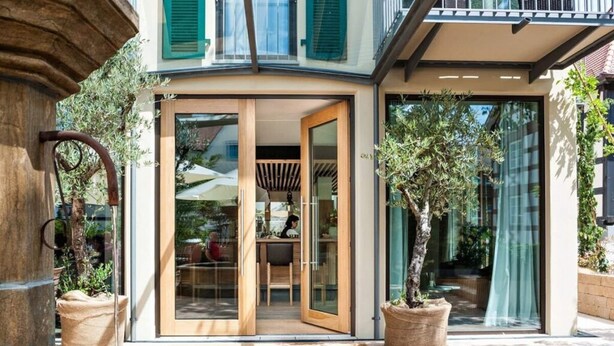 A modern building with a glass entrance, a small outdoor pool, and potted plants. - Suite Apartment 80 sqm (Gaienhofen)