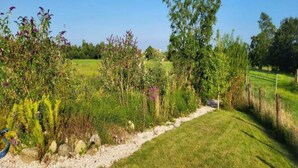 Un giardino con diverse piante e un vialetto sterrato.