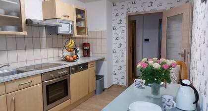 Cosy Holiday Flat Close to Nature