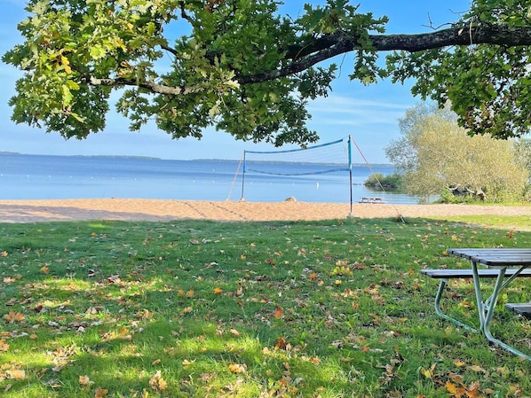 A beach volleyball net with a picnic table nearby, a grassy area with fallen leaves, and a clear view of the water.