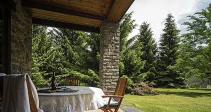 Chalet in Vielha Near Baqueira Ski Resort