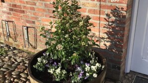 A potted plant with a sign above it, placed on a stone surface in front of a brick wall. - Favorite Place Modern Retreat (Wrixum)