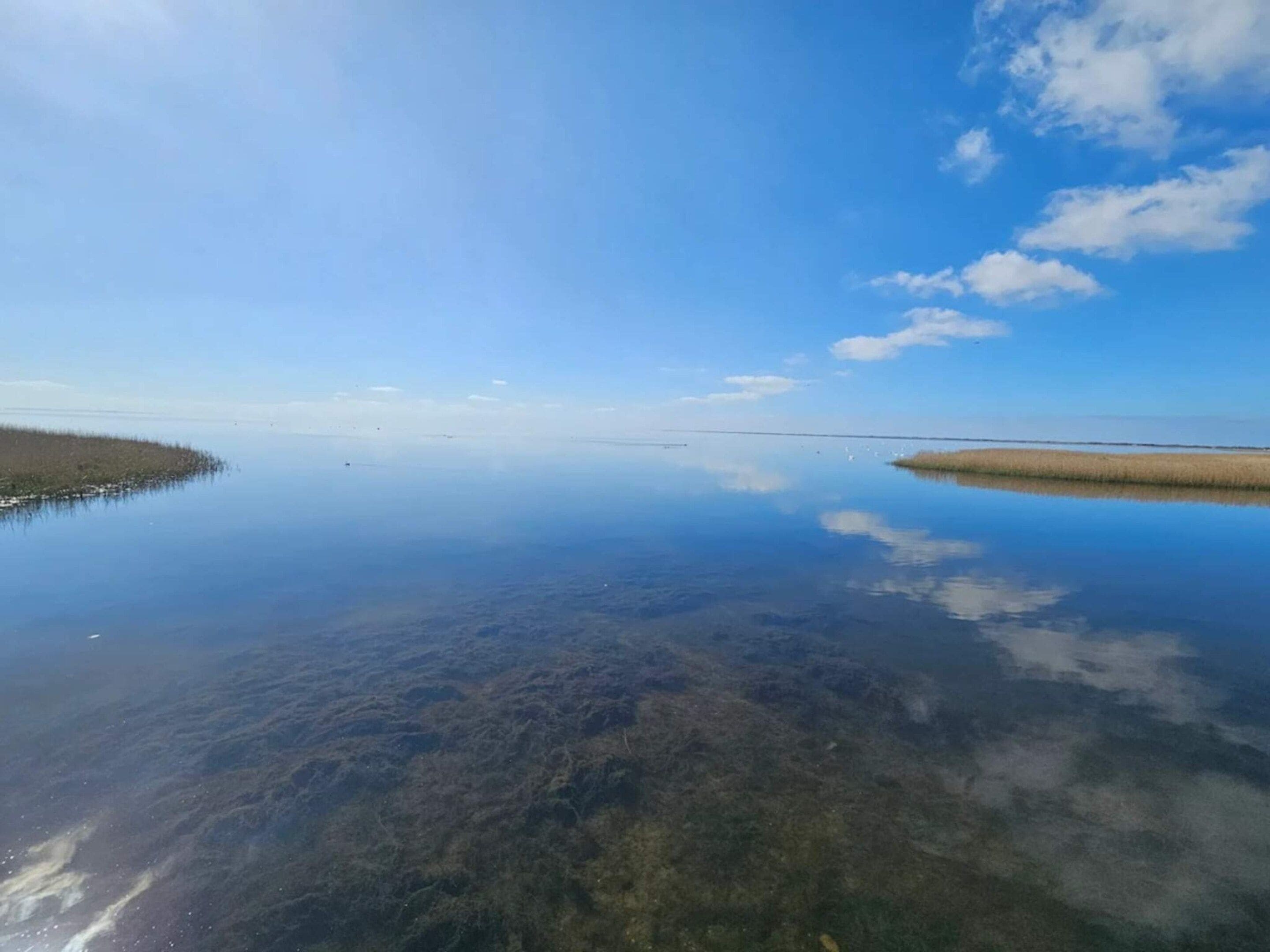 Water view