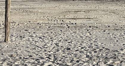 Cozy Hampton Bays Retreat — Just 9 Minutes to Ponquogue Beach