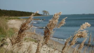 Uma praia com dunas de areia e gramíneas altas em primeiro plano, com um corpo d'água e uma área arborizada ao fundo.
