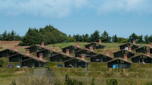 Una hilera de cabañas modernas de una sola planta con techos inclinados, ubicadas en un campo cubierto de hierba con árboles al fondo.