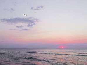 A sunset over the ocean with a bird flying. - Beach House Dune 19 - Happiness (Ostseebad Dierhagen)