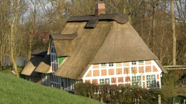 A traditional thatched-roof house with a brick facade, surrounded by a grassy area and trees. - Seehund Comfortable Holiday Residence (Otterndorf)