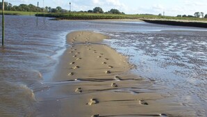 A sandy beach with footprints leading into the water. - Seehund Comfortable Holiday Residence (Otterndorf)