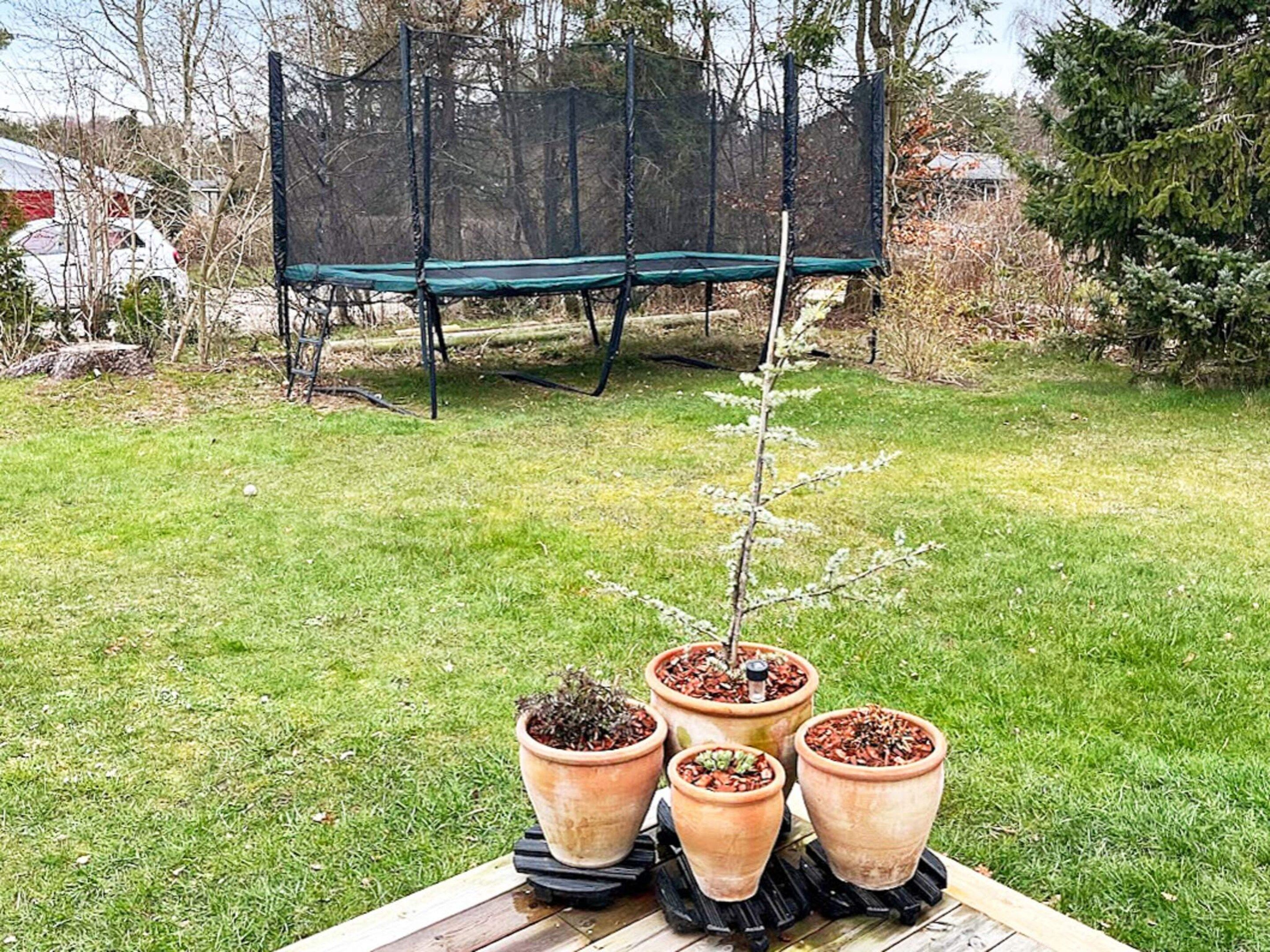 A grassy backyard with a trampoline and four potted plants on a wooden table.