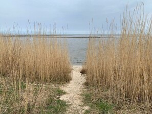 A narrow sandy path flanked by tall, dry reeds leading to a body of water. - Schatz Comfortable Holiday Residence (Wenningstedt-Braderup)