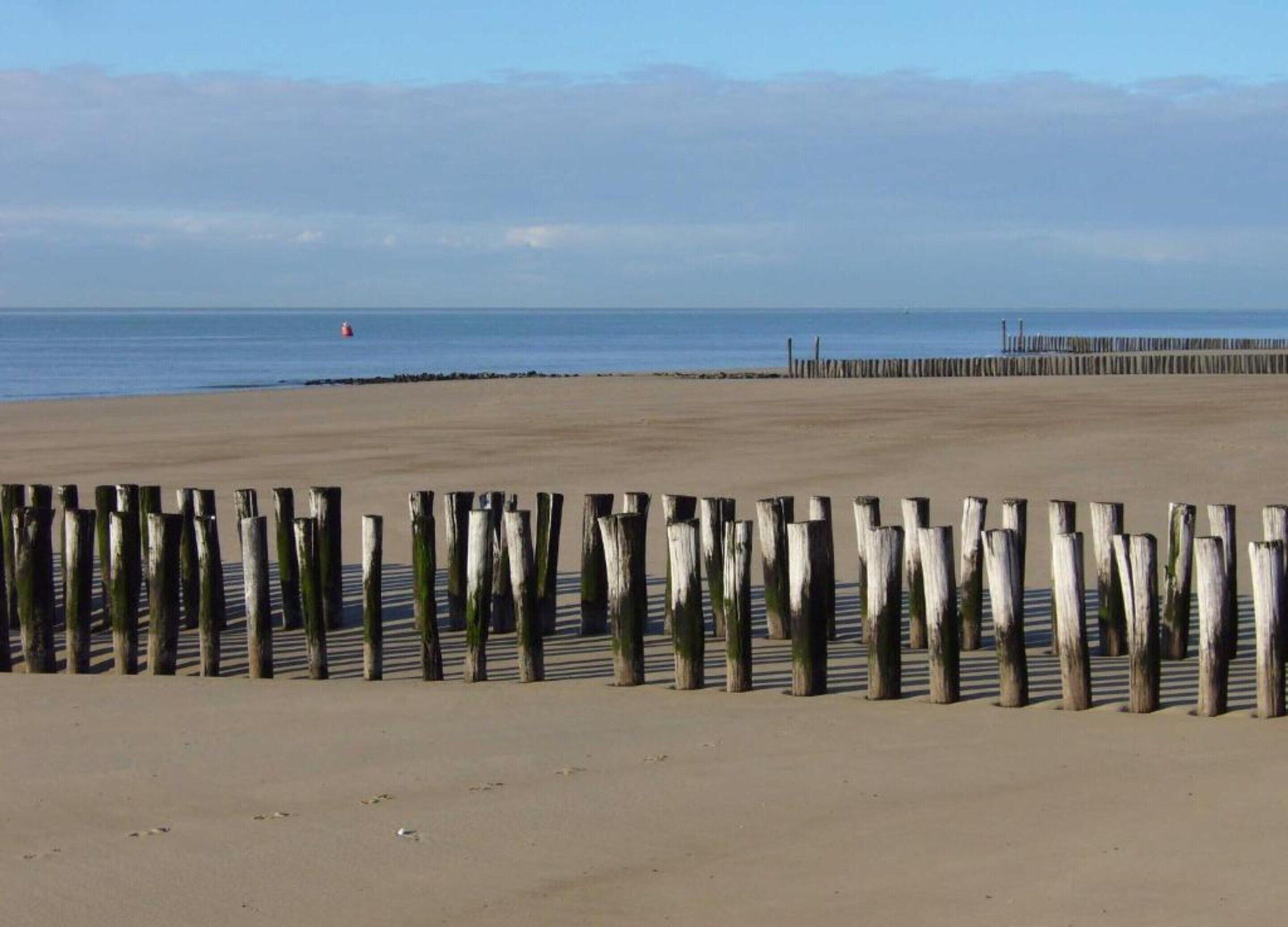 Una playa con una cerca de madera y un muelle al fondo.