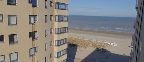 A high-rise building with multiple balconies overlooking a beach.