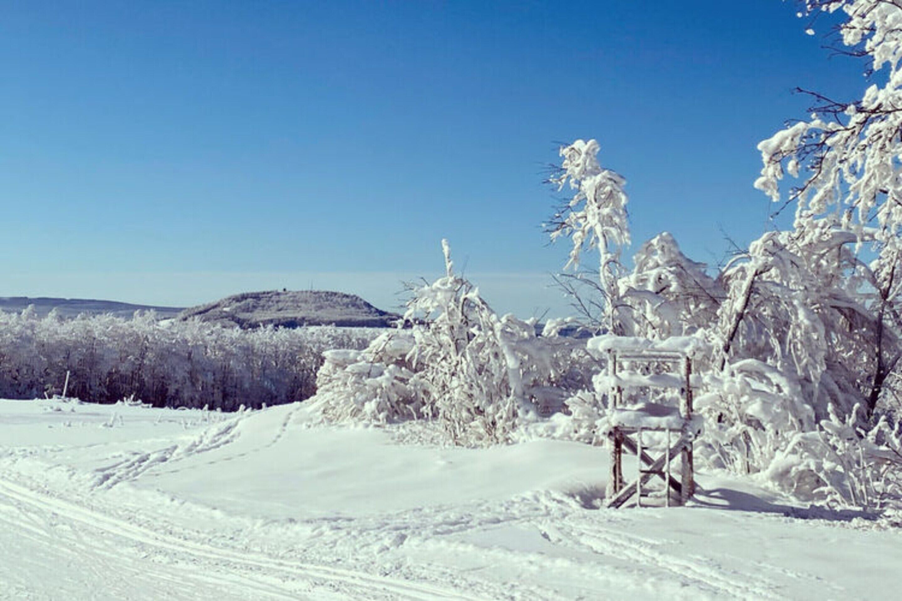A snowy landscape with a clear sky, a snow-covered bench, and a path leading through the trees.