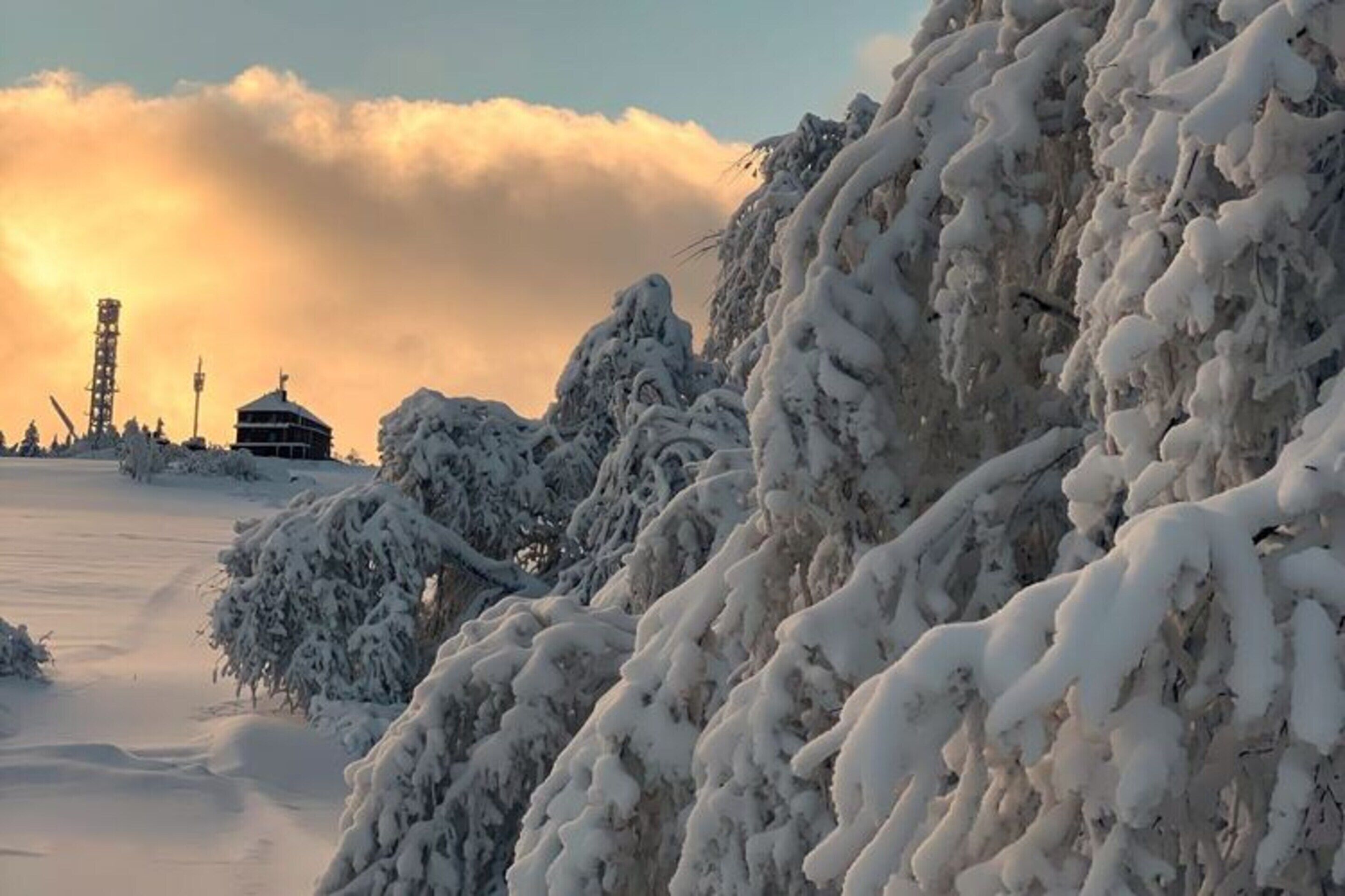 A snowy landscape with a building covered in snow.